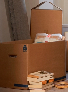 Boxes of books